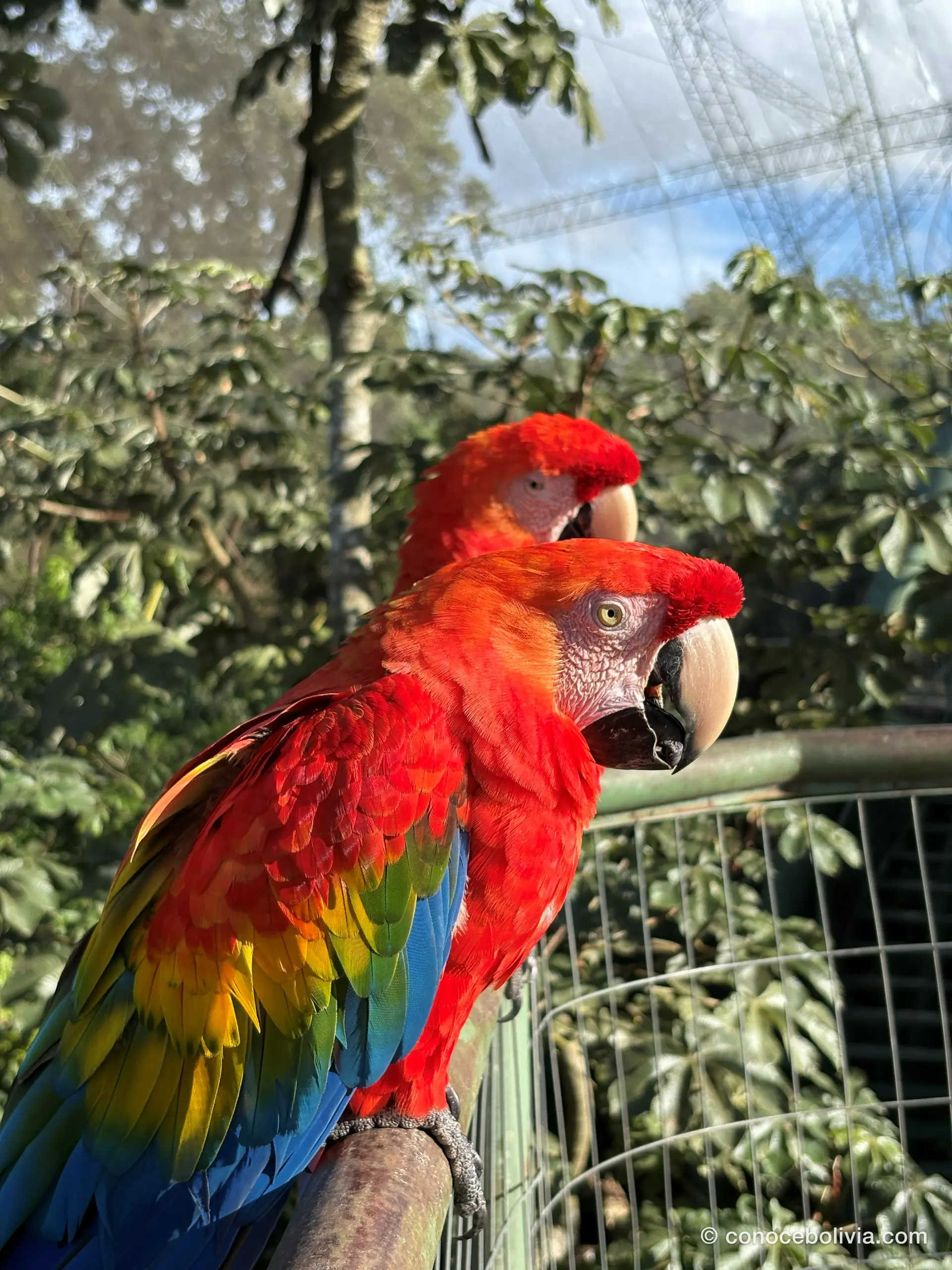 Biocentro Güembé
